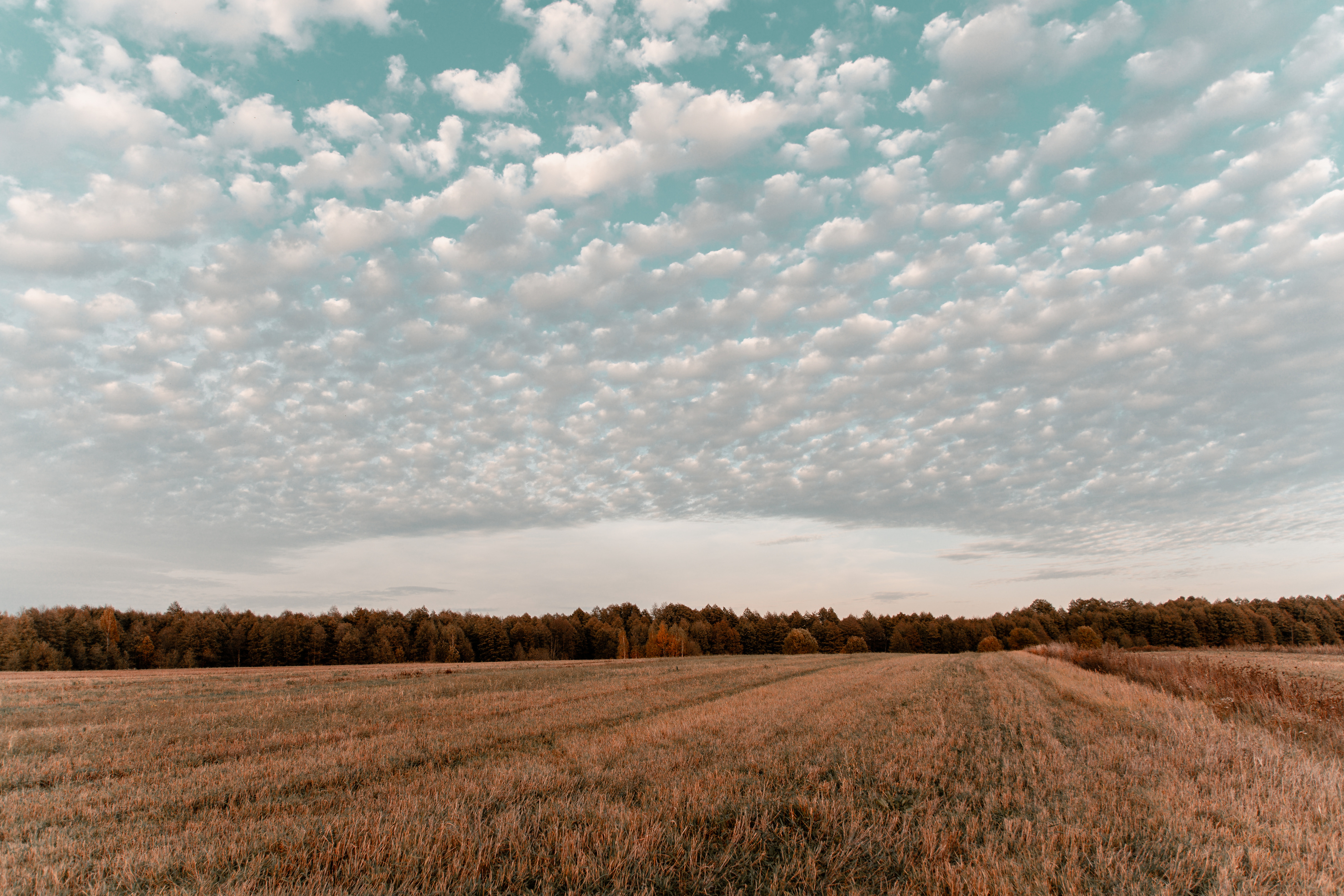 An Agricultural Land Under A Cloudy Sky